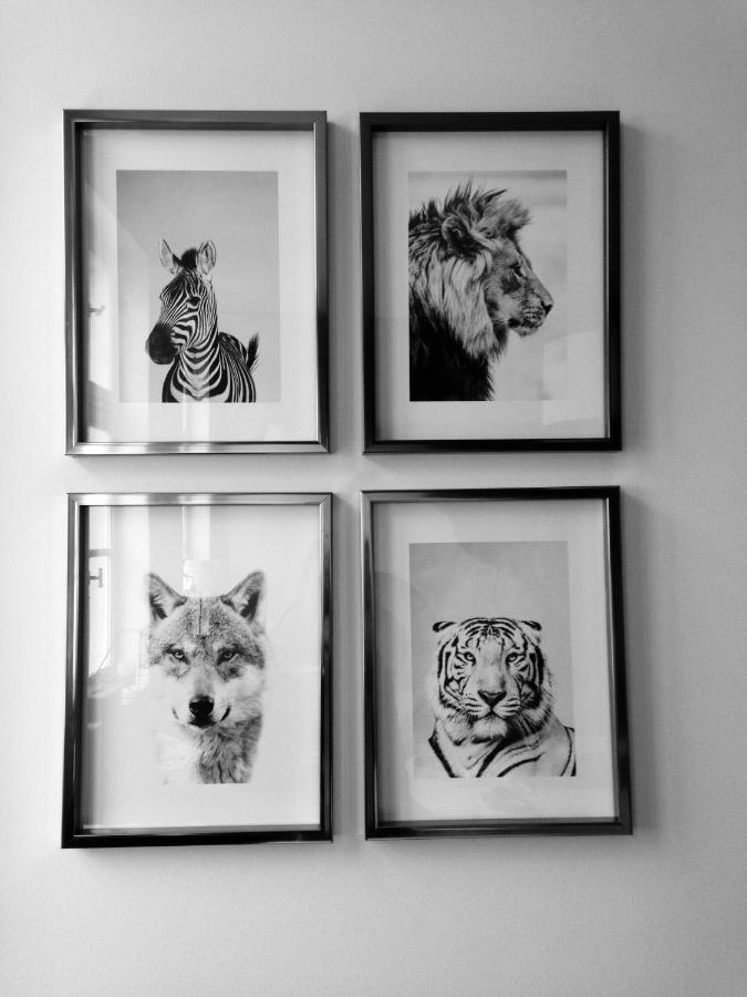 Chambre d 'hôtes Chez Manon et Hugo Béthune Exterior foto